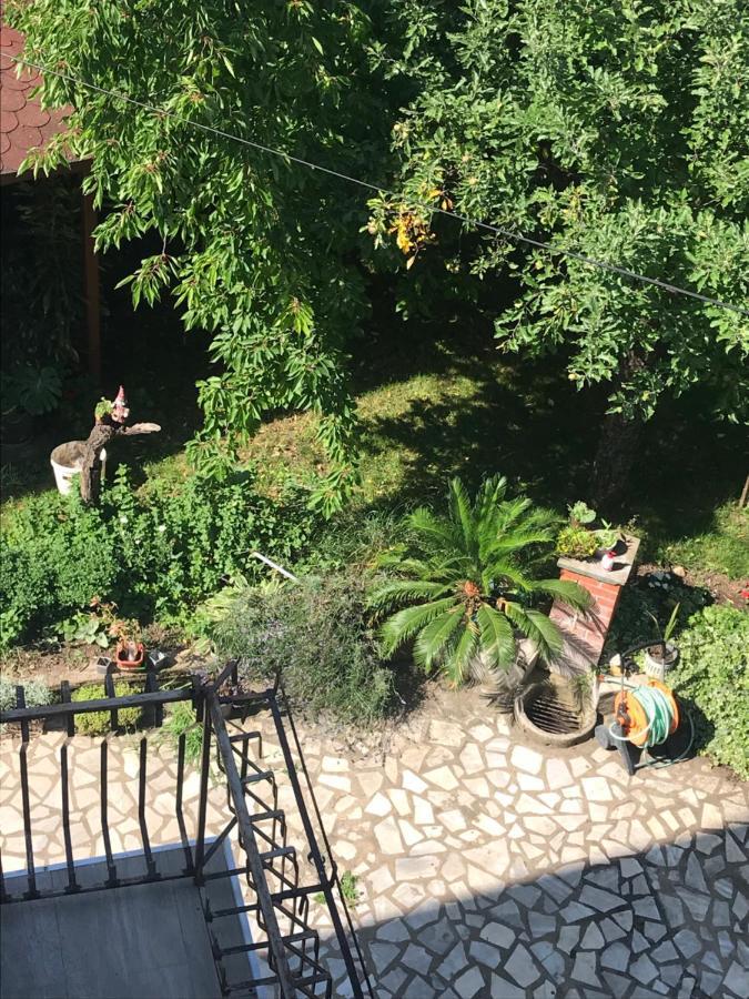 Broj Jedan Apartment Soko Banja Bagian luar foto