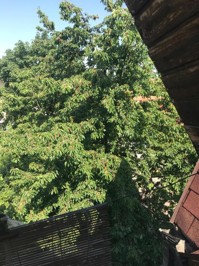 Broj Jedan Apartment Soko Banja Bagian luar foto